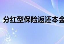 分红型保险返还本金吗 分红型保险返本金吗