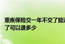 重疾保险交一年不交了能退多少钱 一年一交的意外险不想交了可以退多少