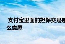  支付宝里面的担保交易是什么意思 在支付宝担保账户上什么意思 