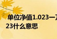  单位净值1。023一万元收益多少 单位净值1。023什么意思 