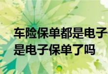 车险保单都是电子保单怎么年审 车险保单都是电子保单了吗