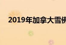  2019年加拿大雪佛兰开拓者35200美元起价 